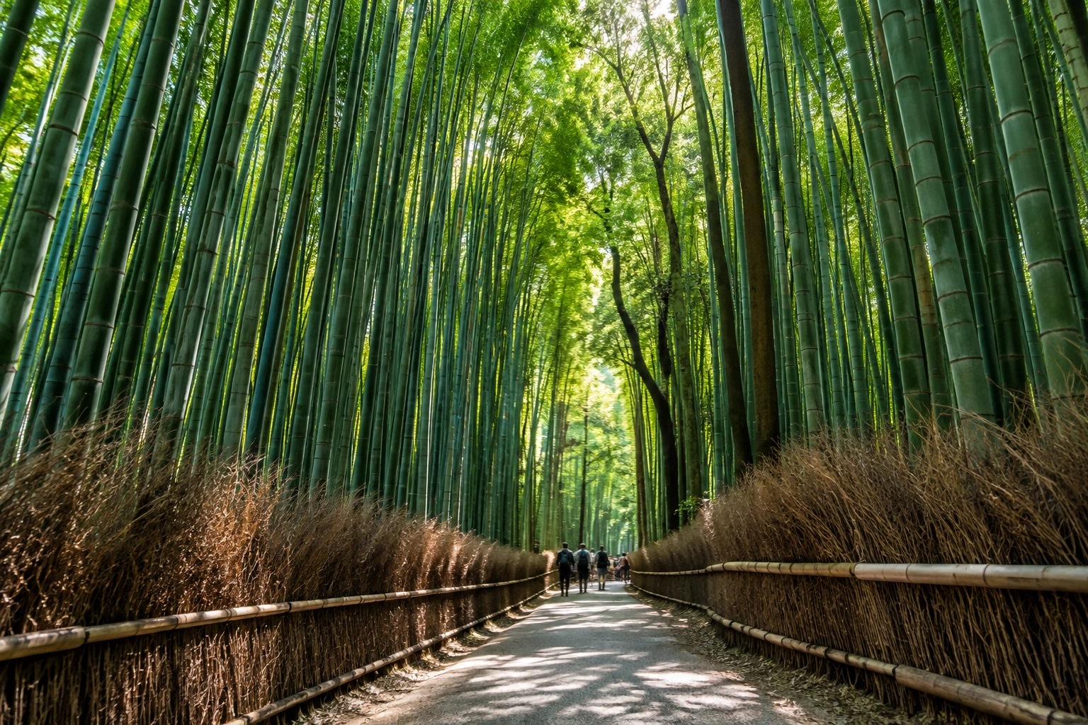 Thưởng ngoạn cảnh sắc tuyệt đẹp ở công viên Arashiyama