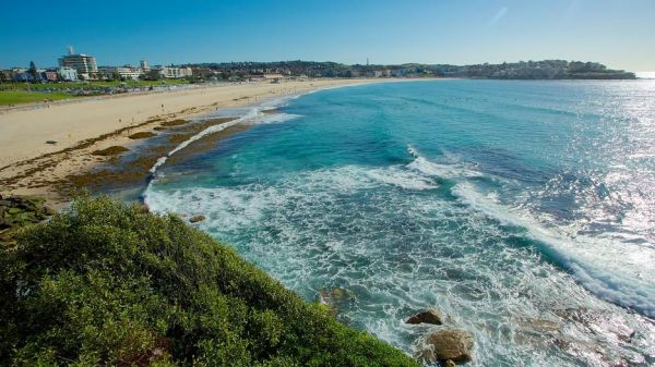 Bãi biển Bondi