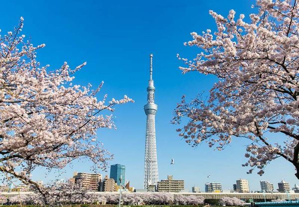 Vé máy bay đi Tokyo giá rẻ