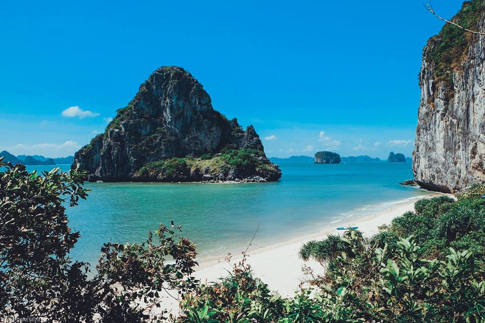 Đảo mắt rồng