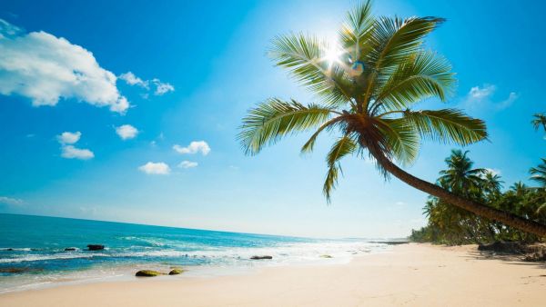 Tháng 8 nên đi du lịch ở Phú Quốc