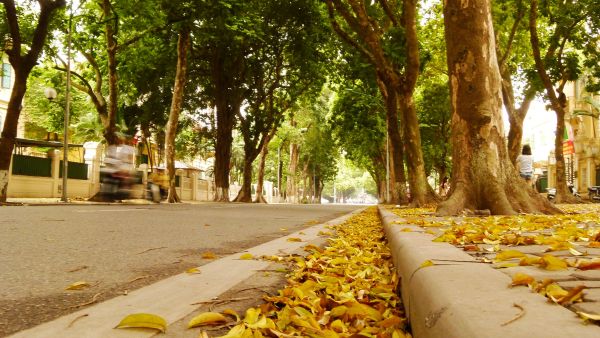 Tháng 9 nên đi đu lịch ở đâu vừa đẹp, vừa rẻ?