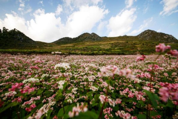 Tháng 10 nên đi du lịch ở đâu trong nước - Hà Giang