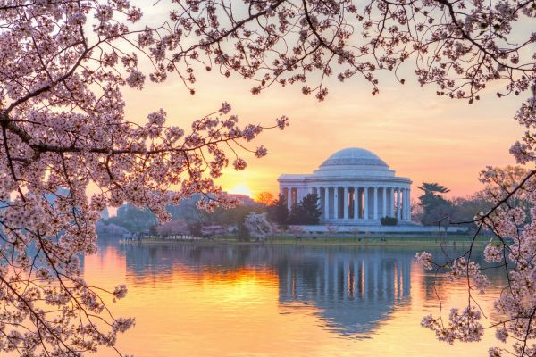 Hoa Anh Đào ở Washington, DC