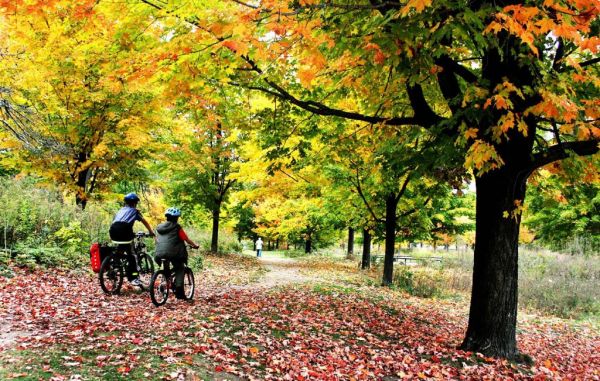 High Park