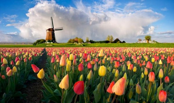 Du lịch Amsterdam, Hà Lan