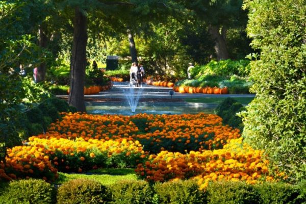 Vé máy bay đi Dallas, Mỹ du lịch