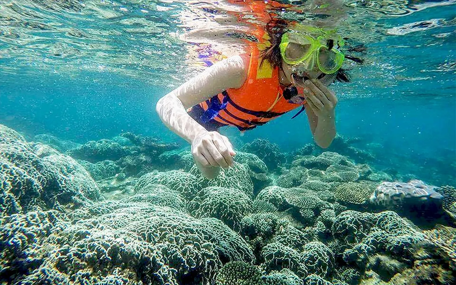 Lặn san hô tại Nha Trang có nhiều gói dịch vụ cho bạn lựa chọn