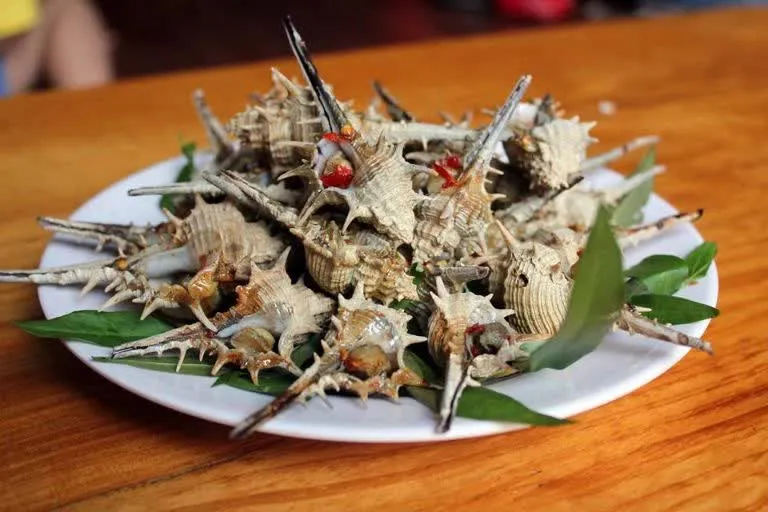 Ốc gai xương rồng với nhiều cách chế biến