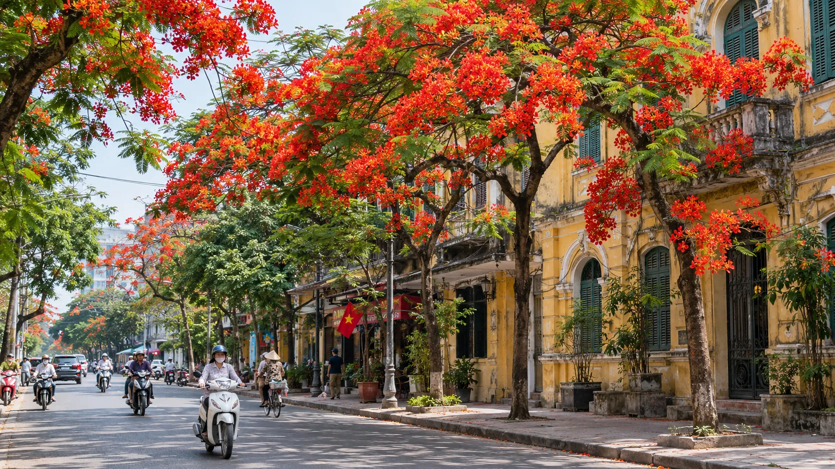 Hải Phòng mùa hoa phượng