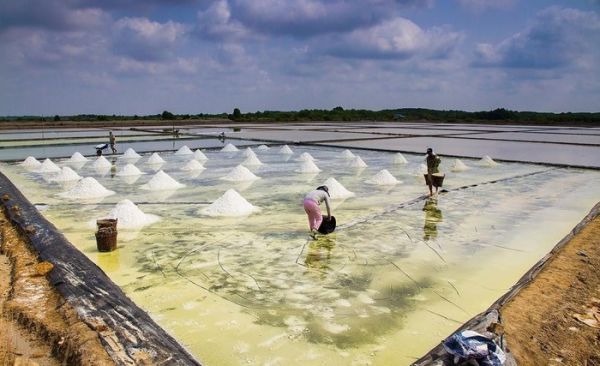 Cánh đồng muối Sa Huỳnh