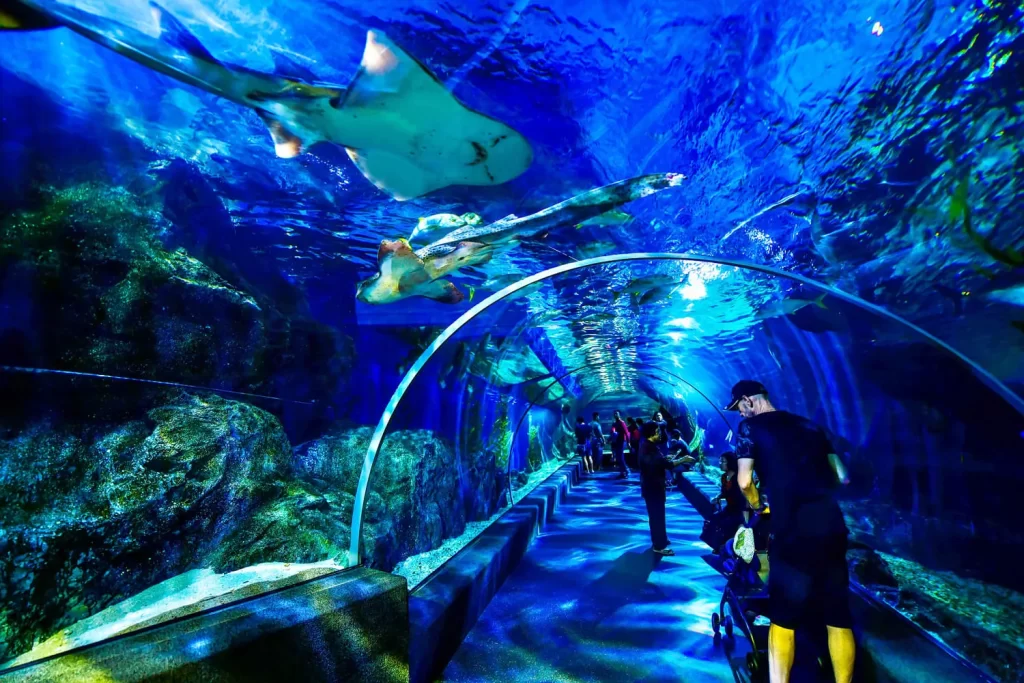 Sea Life Ocean Bangkok