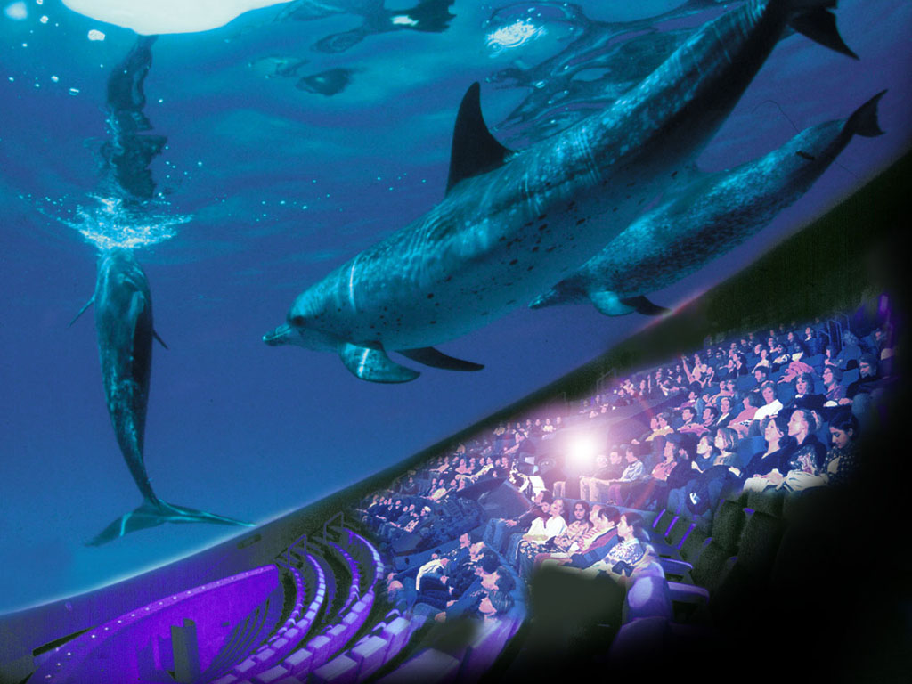 Công nghệ IMAX làm bộ phim trở nên tuyệt hảo