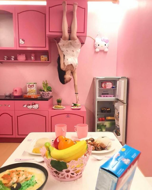 Upside down house