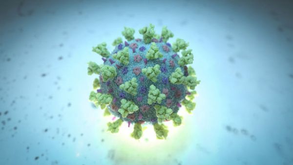 Corona virus COVID-19 và những câu hỏi thường gặp