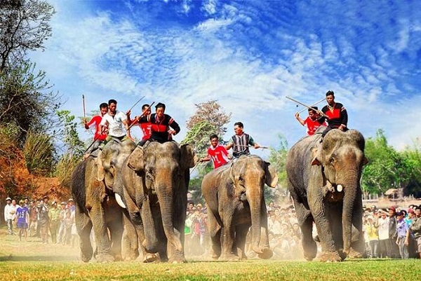 Lễ hội đua voi