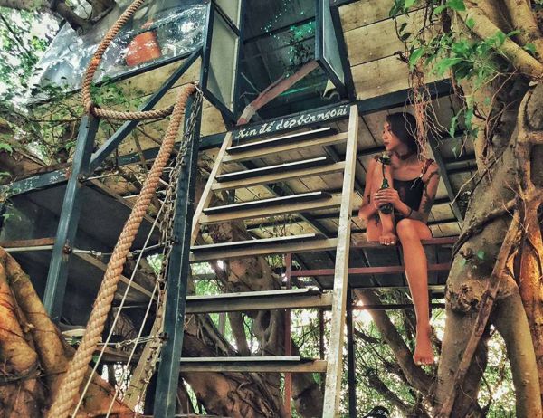 Lush Garden Studio & Tree