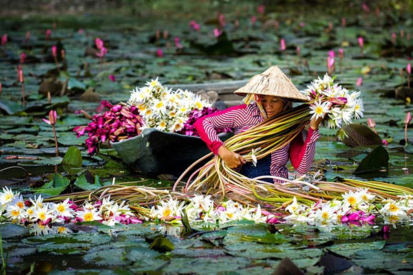 Lịch bay Hải Phòng Cần Thơ Vietnam Airlines