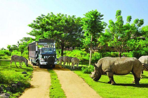 Khu vực bảo tồn bán hoang dã tại Vinpearl Safari Phú Quốc