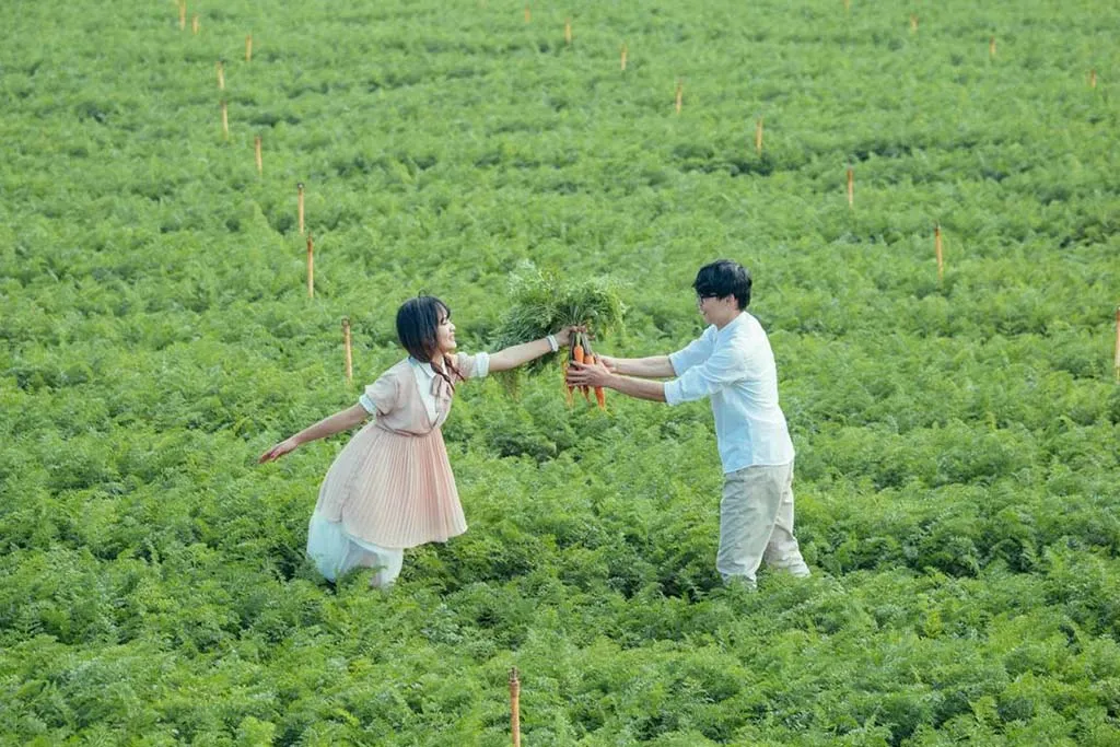 Vườn cà rốt cũng chính là điểm "săn ảnh" thơ mộng và lãng mạn ở Đà Lạt