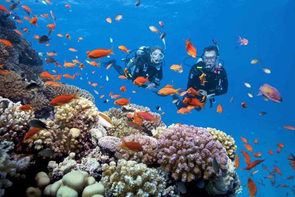 Hòn Mun - Một trong những hòn đảo đẹp nhất tại Nha Trang