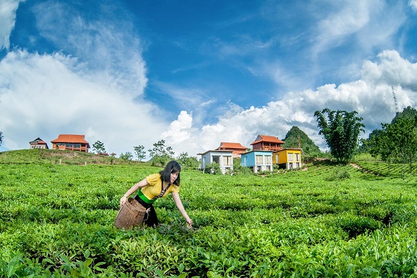 Lịch bay Vinh Pleiku