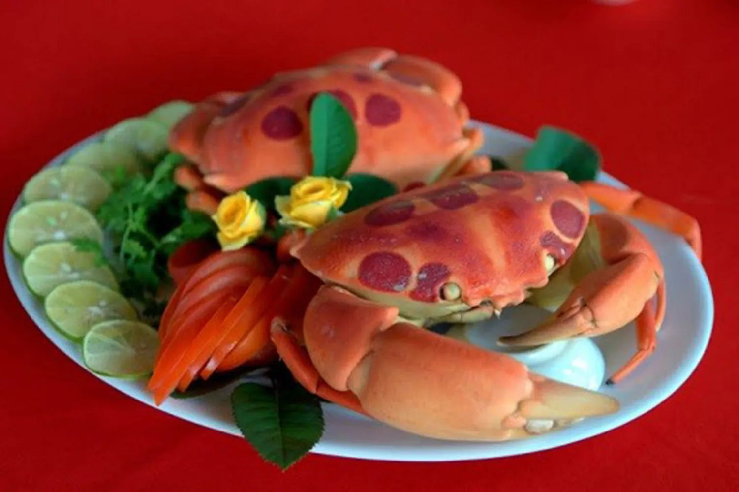 Cua mặt trang có hình dáng vô cùng độc đáo