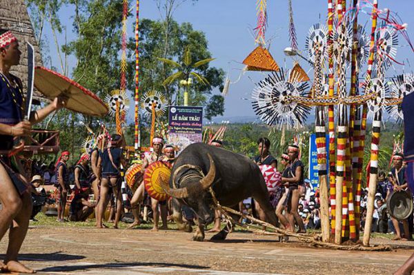 Du lịch Gia Lai tham dự Lễ hội đâm trâu