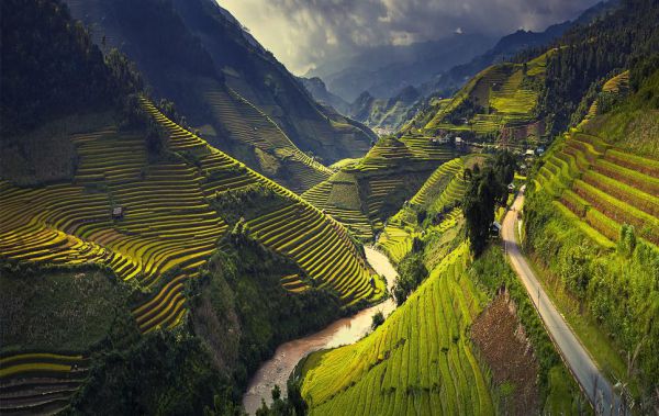 Địa điểm “săn” mùa vàng đẹp mê hồn ở Hà Giang là ruộng bậc thang Hoàng Su Phì