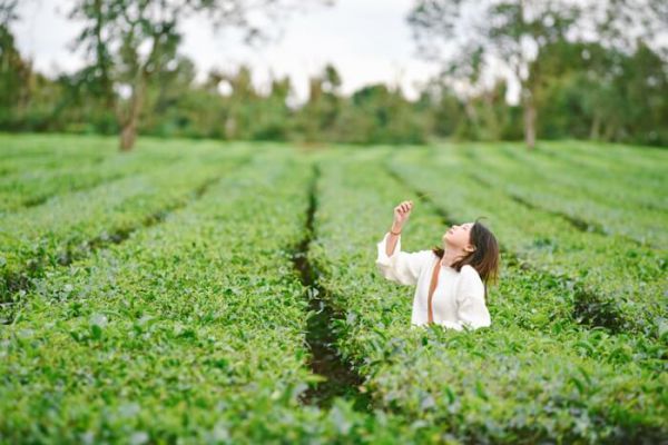 Du lịch Pleiku - Biển Hồ Chè