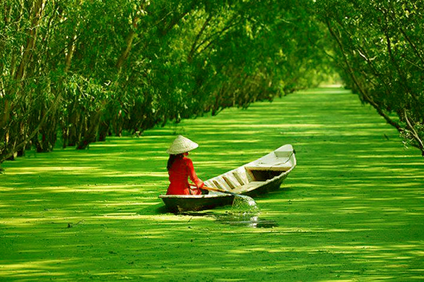 Cà Mau hấp dẫn bạn vào bất cứ thời điểm nào trong năm