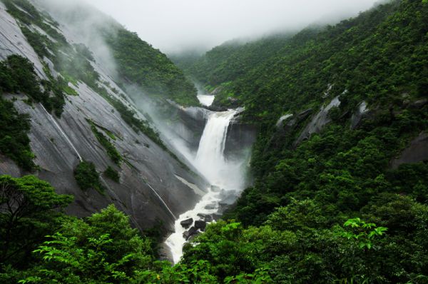 Đảo Yakushima