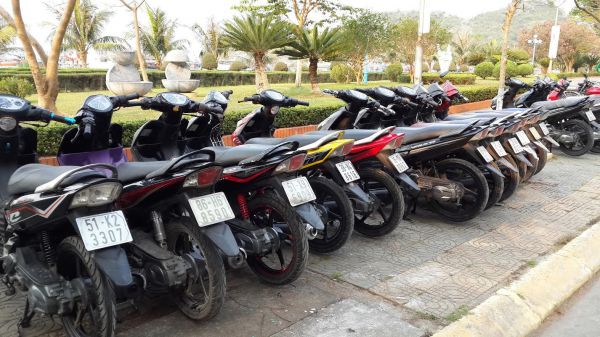 Quy Nhơn có nhiều đơn vị cho thuê xe máy uy tín