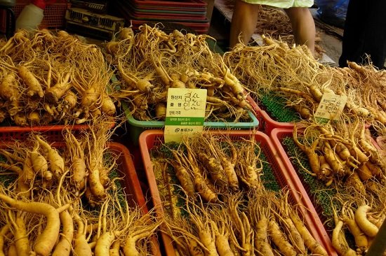 nhân sâm và linh chi ở Hàn Quốc