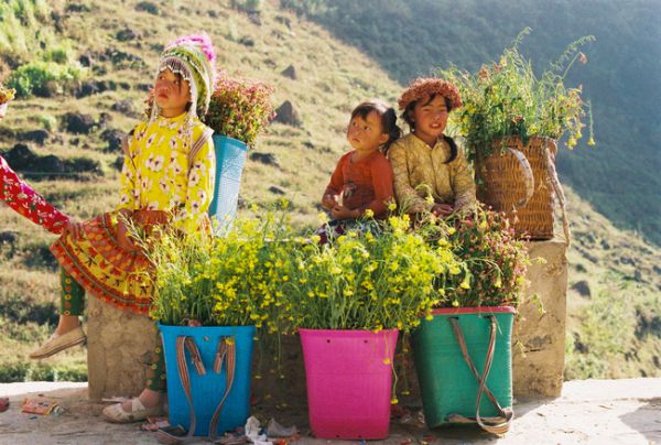 Du lịch Hà Giang mùa nào đẹp nhất