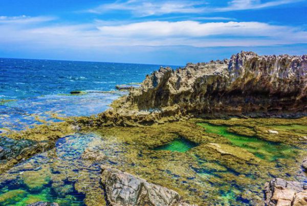 Những bãi san hô tuyệt đẹp tại hang Rái