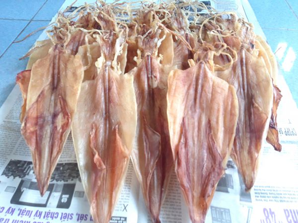 Mực khô món quà quý của du lịch Quảng Bình