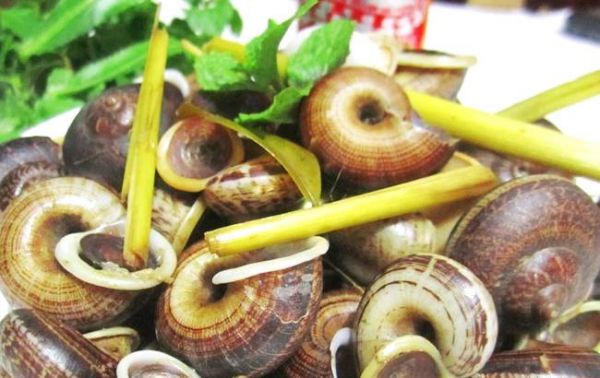 Ốc đá - món đặc sản dân dã của Mộc Châu