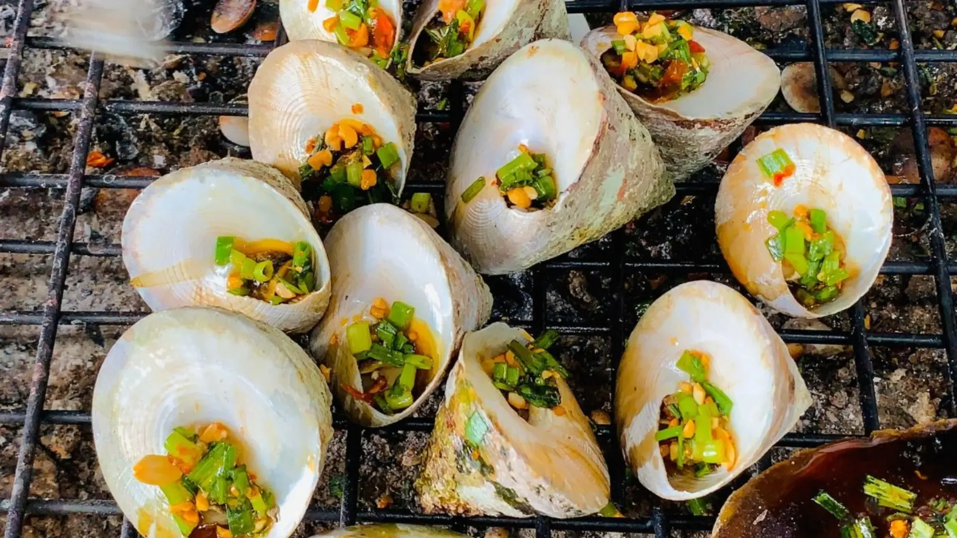Loại đặc sản nổi tiếng ở vùng biển này với độ ngon và rẻ của Ốc vú nàng