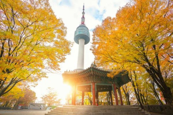 Khung cảnh tuyệt diệu của tháp Namsan