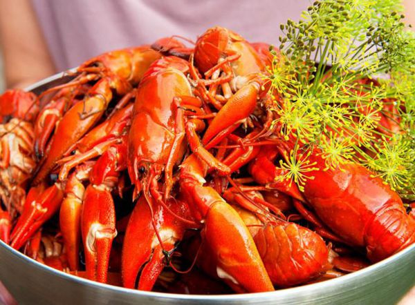 Tôm hùm lửa
