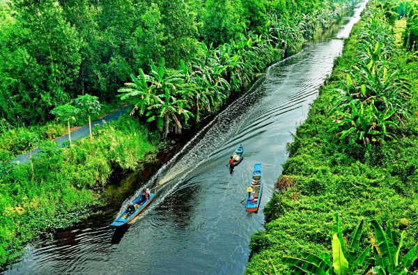 Rừng U Minh Hạ hứa hẹn mang đến cho quý khách nhiều trải nghiệm thú vị