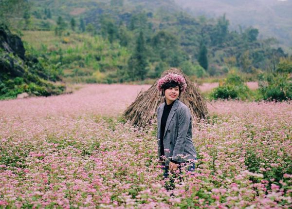 Hà Giang mùa hoa tam giác mạch