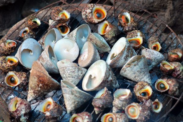 Ốc vú nàng - Đặc sản Côn Đảo không thể bỏ qua