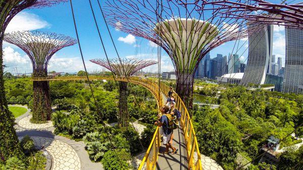 Gardens by the bay