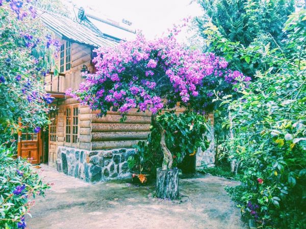Những căn nhà gỗ màu tím đặc trưng tại đây