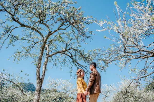 Cao Bằng mùa hoa mơ, hoa mận nở trắng rừng