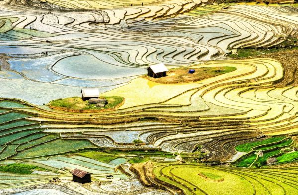 Ruộng Tây Bắc đẹp hoang sơ mùa nước đổ