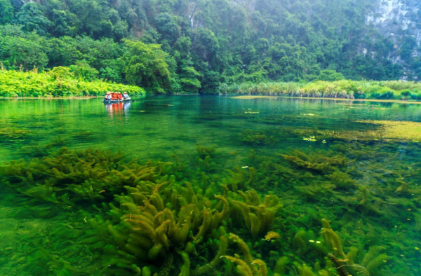 Làn nước trong veo tại Tràng An
