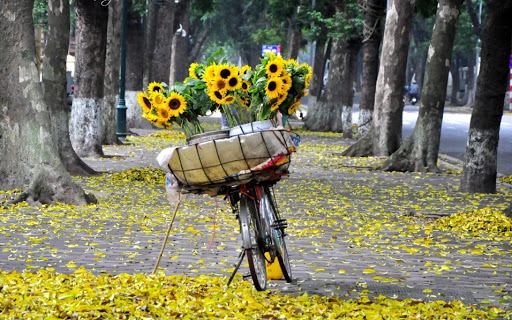 Các ngày lễ trong tháng 8